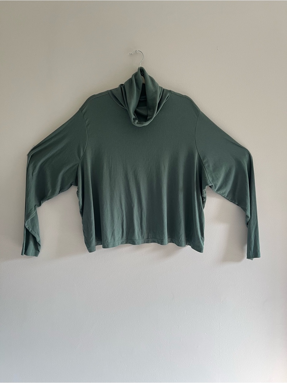 Women's Sage Green 3X Turtleneck Long-Sleeve Sweater